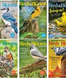 Birds & Blooms - 2022 Full Year Compilation