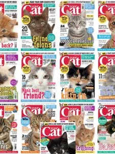 Your Cat - 2014-2015 Full Year Compilation