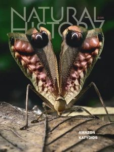 Natural History - 02.2026