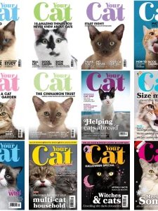 Your Cat - 2023 Full Year