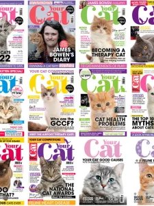 Your Cat - 2022 Full Year