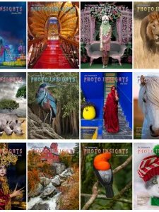 Photo Insights - 2022 Full Year