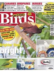 Cage & Aviary Birds - 8.10.2025