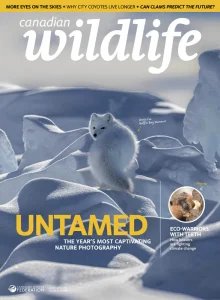 Canadian Wildlife - 03/04 2026