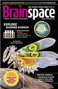 Brainspace - 08/09 2025