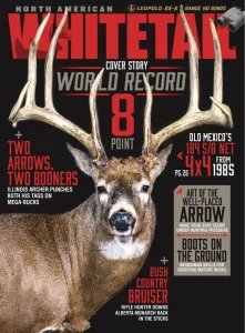 North American Whitetail - 07/08 2026