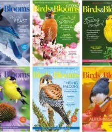 Birds & Blooms - 2024 Full Year Compilation