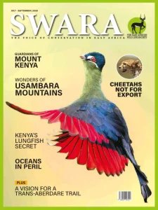 Swara - 07/10 2025