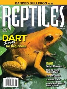 Reptiles - 05/06 2025