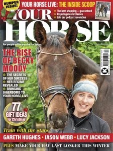 Your Horse - 12.2025