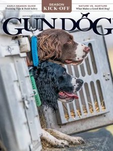 Gun Dog - 09.2026