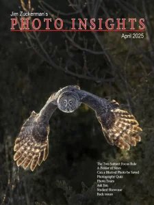 Photo Insights - 04.2025