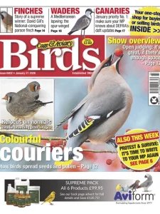 Cage & Aviary Birds - 01.21.2026