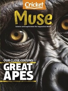 Muse - 04.2024