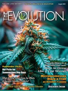 The Evolution - 08.2025