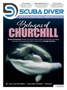 Scuba Diver - Is. 104 2025