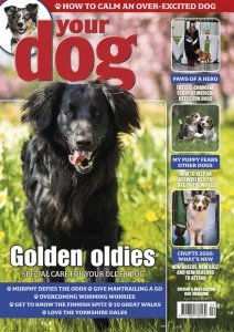 Your Dog - 04.2026