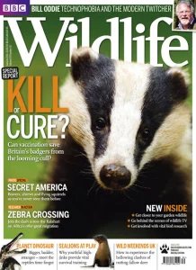 BBC Wildlife - Autumn 2011