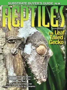 Reptiles - 01/02 2026