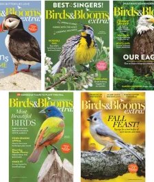 Birds & Blooms - 2020 Full Year Compilation