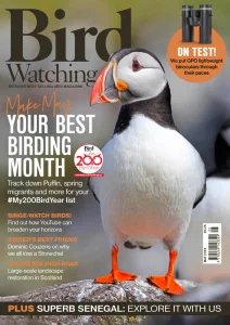 Bird Watching UK - 05.2026