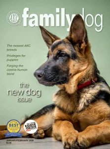 AKC Family Dog - 01/02 2026