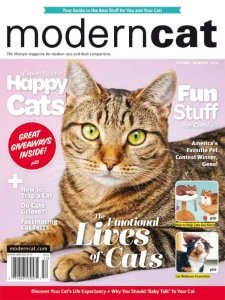 Modern Cat - Spring/Summer 2025