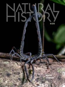 Natural History - 06.2025
