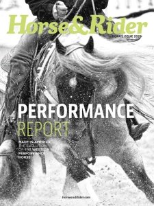 Horse & Rider - Bonus 2026