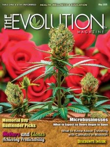 The Evolution - 05.2025