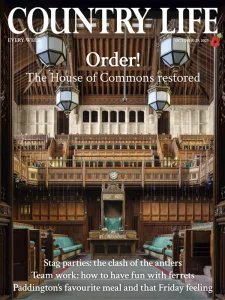 Country Life UK - 10.29.2025