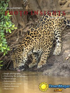 Photo insights - December 2014