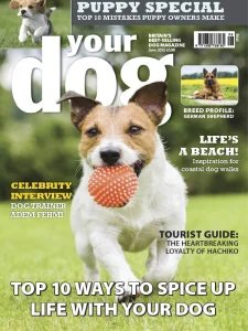 Your Dog - 06.2025
