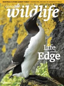 Canadian Wildlife - 07/08 2025