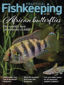 Practical Fishkeeping - 05.2023