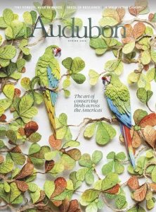 Audubon - Spring 2026