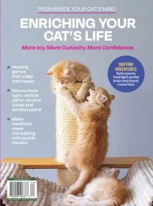 Inside Your Cat's Mind - Enriching Your Cat's Life 2026