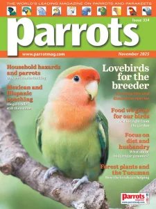Parrots - 11.2025