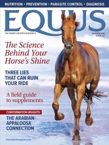 Equus - Summer 2026