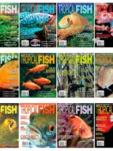 Tropical Fish Hobbyist - 2014 Full Year