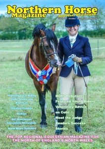 Northern Horse - 10.2025
