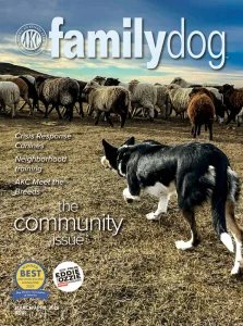 AKC Family Dog - 03/04 2026