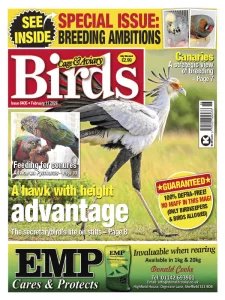 Cage & Aviary Birds - 11.02.2026