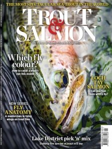 Trout & Salmon - 02.2023