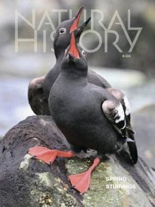 Natural History - 04.2026