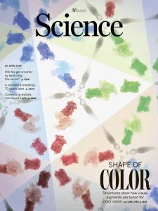 Science - 25.06.2026