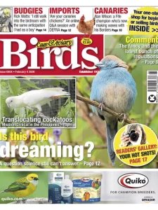Cage & Aviary Birds - 02.4.2026