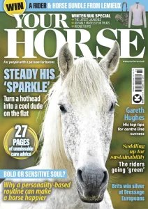 Your Horse - 10.2025