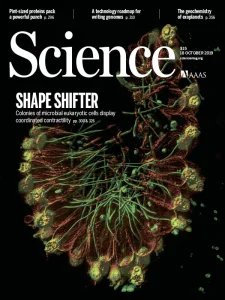 Science - 18.10.2019