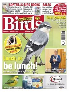 Cage & Aviary Birds - 3.09.2025